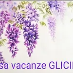 Casa Glicine Apartman Venaria Reale